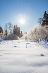 winter landscape with forest, snow, blue sky and sun