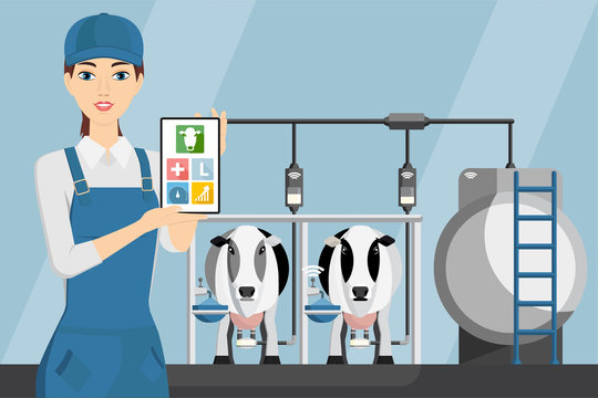 Woman farmer with tablet on a modern dairy farm. Smart farming, herd management and automatic milking. Vector illustration.