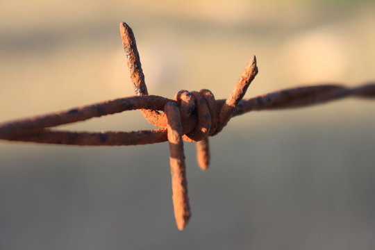 รูปภาพStahe เลือกดูภาพถ่ายสต็อก เวกเตอร์ และวิดีโอ12 Adobe Stock