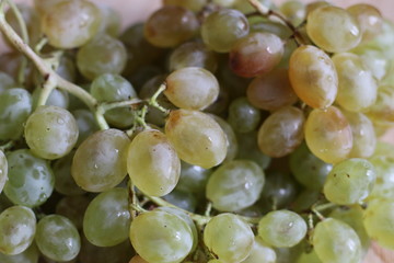 Green ripe grapes on wooden desk