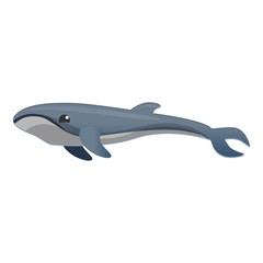 Whale icon. Cartoon of whale vector icon for web design isolated on white background