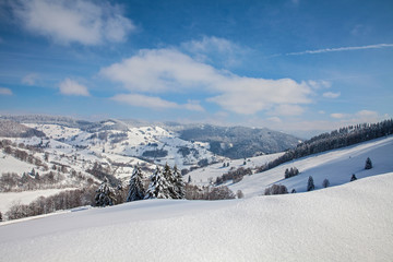 Schwarzwald_Belchen_3944
