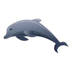 Dolphin icon. Cartoon of dolphin vector icon for web design isolated on white background
