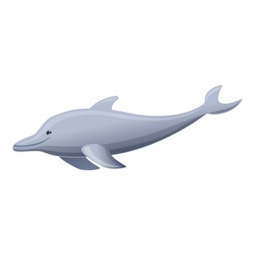 Grey dolphin icon. Cartoon of grey dolphin vector icon for web design isolated on white background