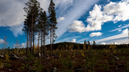 Colorful mountain in Swedish lapland in autumn
