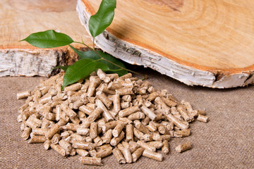 Wood pellets, birch and twig with leaves. Biomass Pellets- cheap energy. The concept of biofuel...