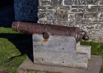 Cannon