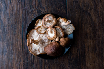 Shiitake Mushroom in Black Plate on Dark Wooden Surface.