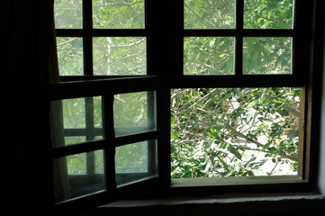 a view of the garden from the open window