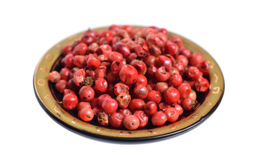 Schinus terebinthifolia or Brazilian peppertree, aroeira or rose pepper, broadleaved pepper tree, wilelaiki or wililaiki, Christmasberry and Florida Holly isolated.