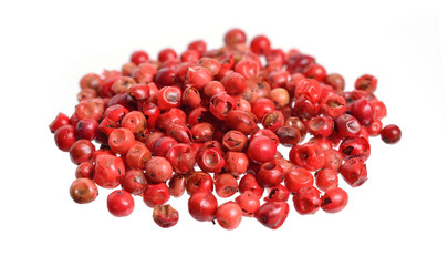 Schinus terebinthifolia or Brazilian peppertree, aroeira or rose pepper, broadleaved pepper tree, wilelaiki or wililaiki, Christmasberry and Florida Holly isolated.