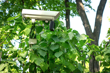 Security surveillance camera in the park