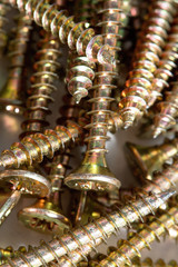 Detail of a golden wood screw.