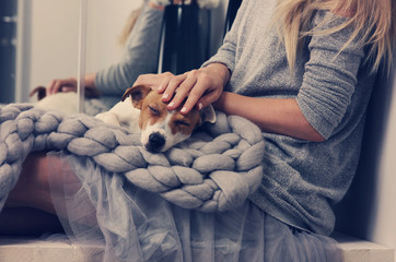Cozy home, woman covered with warm blanket drinking coffee, cuddle dog. Relax, carefree, comfort...