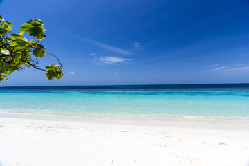 Malediven Inselleben mit traumhaftem weißen Sandstrand und strahlend blauem Himmel