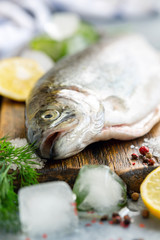 Raw rainbow trout close-up.