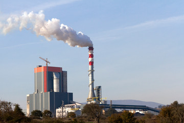 plant with smoking chimneys