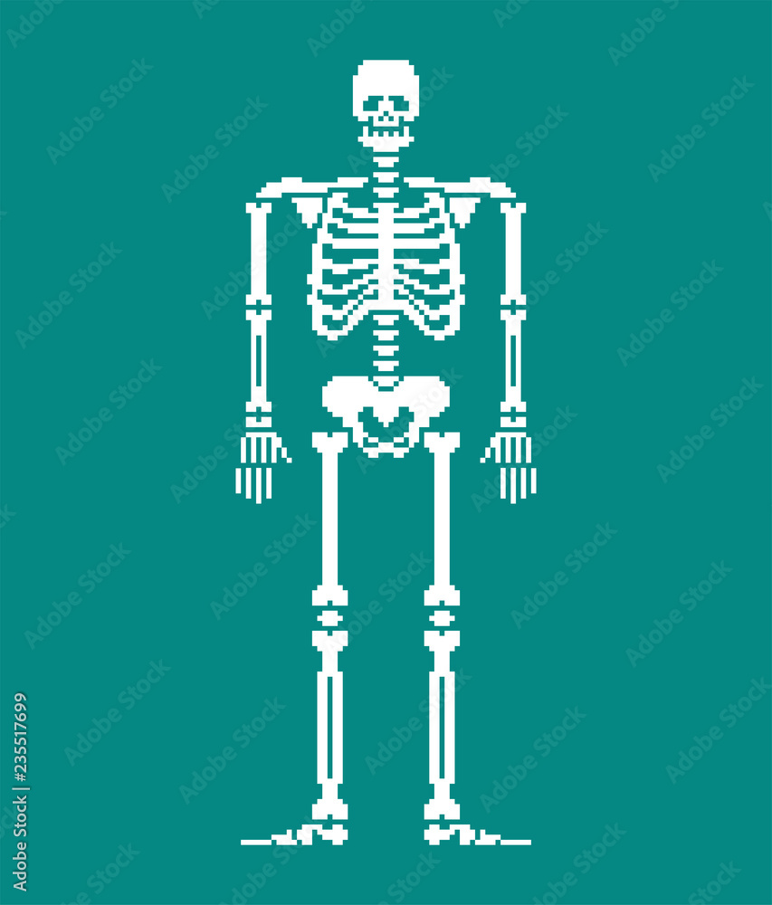 Poster skeleton pixel art. skull and bones anatomy 8 bit. pixelate pelvic bone and ribs. spine and vertebra