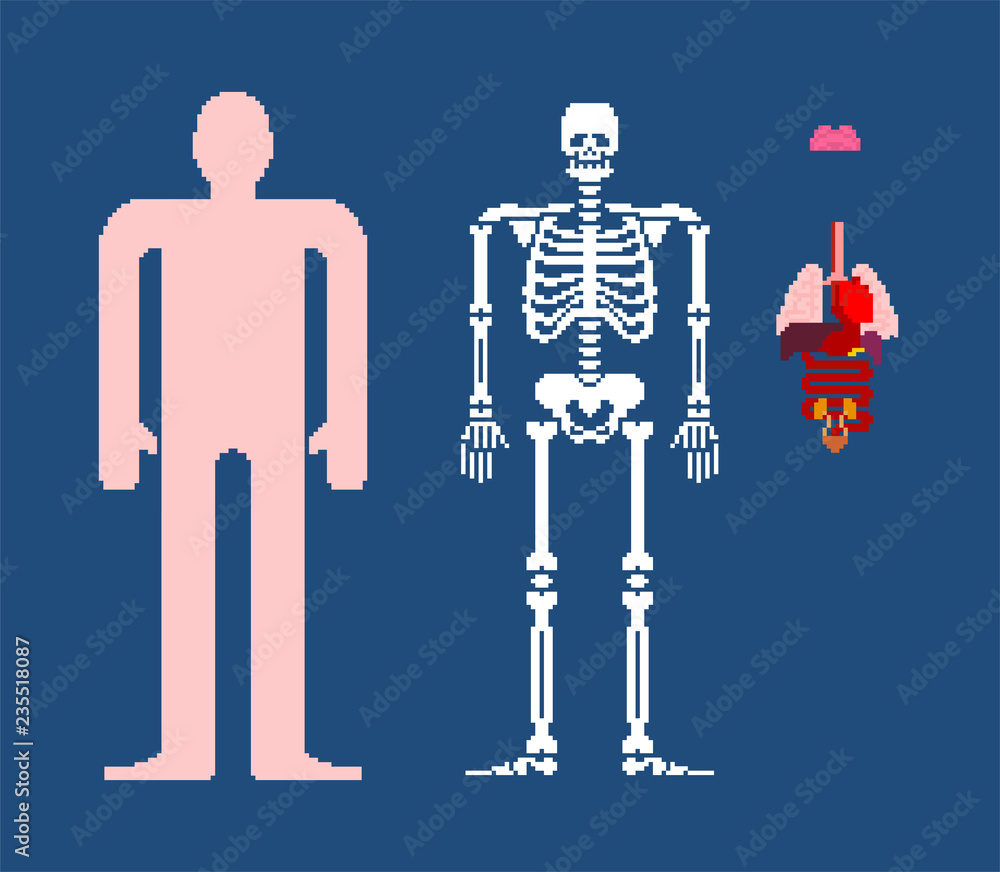 Poster human anatomy pixel art. 8bit internal organs and skeleton. pixelate 16bit. old game computer graphi