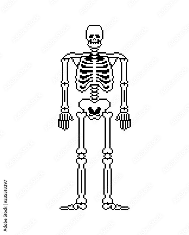 Poster skeleton pixel art. skull and bones anatomy 8 bit. pixelate pelvic bone and ribs. spine and vertebra