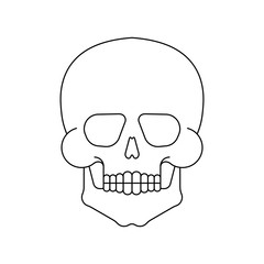 Skull isolated. Skeleton Head Vector Illustration. Scary symbol pirate and death