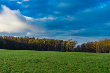 Landschaft Feld