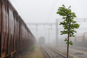 Old train wagons parked in a train station