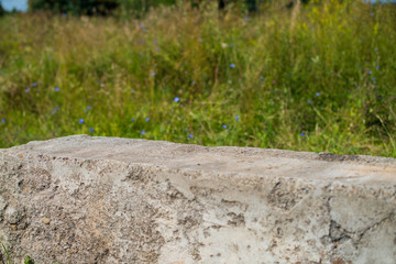 concrete slab on grass