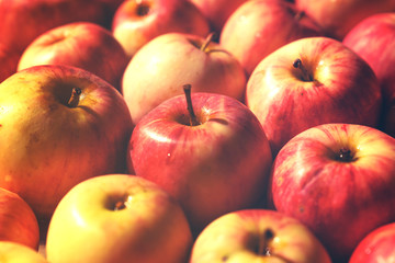 Many red and yellow apples, colorful background