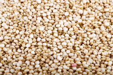 Quinoa,close up.