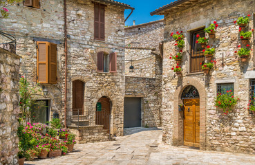Fototapeta na wymiar A picturesque sight in Assisi. Province of Perugia, Umbria, central Italy.