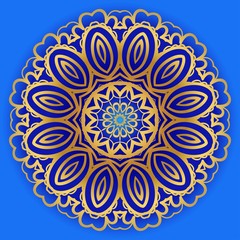 Modern Decorative Cicle Shapes. Floral mandala. vector illustration