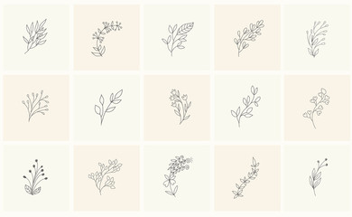 Line hand drawn elements for logo, emblem, decoration.