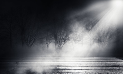 Background of empty street at night. Asphalt, autumn trees, moonlight, reflection, smoke, fog