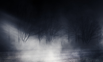 Fototapeta Background of empty street at night. Asphalt, autumn trees, moonlight, reflection, smoke, fog obraz