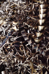 Background or texture - close-up metal shavings