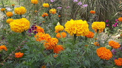 Красота Природа