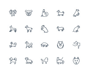 Schnauzer dog, Cane Corso Bichon Frise Beagle Hovawart Puggle Ko