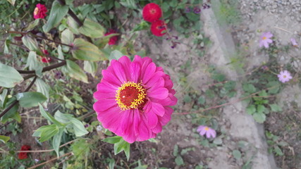 Красота Природа