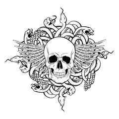 Vector illustration of realistic human skull with wings and bunch of snakes in hand drawn style.  Template for card banner label poster and print for t-shirt.