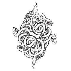 Fototapeta premium Vector hand drawn illustration with bunch of angry snakes. Artwork of rattlesnake in realistic line style. Template for postcard banner poster print for t-shirt
