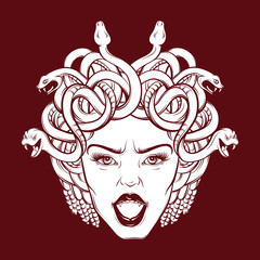 Vector illustration of angry gorgon with snakes and open mouth in hand drawn cartoon realistic style. Artwork hand sketched. Template for postcard, banner, poster, placard, print for t-shirt.