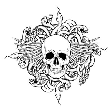 Vector illustration of realistic human skull with wings and bunch of snakes in hand drawn style.  Template for card banner label poster and print for t-shirt.