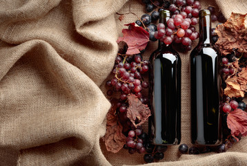 Red wine bottles and  grapes with dried up vine leaves.