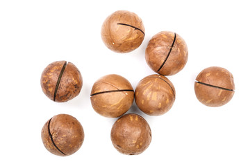 unshelled macadamia nuts isolated on white background. Top view. Flat lay pattern