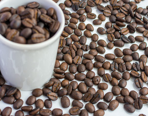 grain of coffee