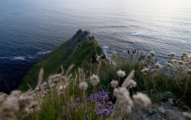 Irland, Klippen, Meer, Fels, Wolken, Natur, Landschaft, Draußen, Küste, Wind, Brandung, Wiese, Gras, Grün, Sommer, Hügel, Berge, Wandern, Urlaub, Abenteuer, Blumen, Schafe, Himmel, Wasser, Bach, Juni