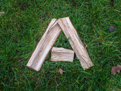 Letter of the alphabit made from natural oak on the green grass-5539.jpg