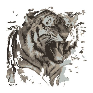 Kreative Zeichnung Tiger