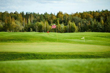 Obraz premium Flags on vast green field for playing golf with forest on background